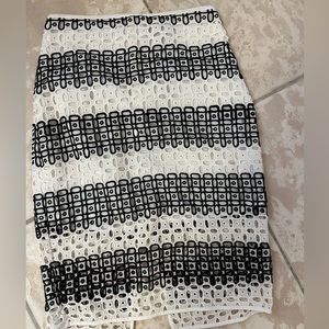 Beautiful elegant skirt